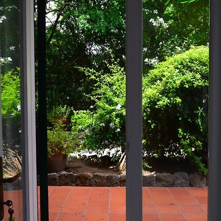 Il Giardino Selvatico Di Succellario - Apartments 巴拉诺迪斯基亚 外观 照片