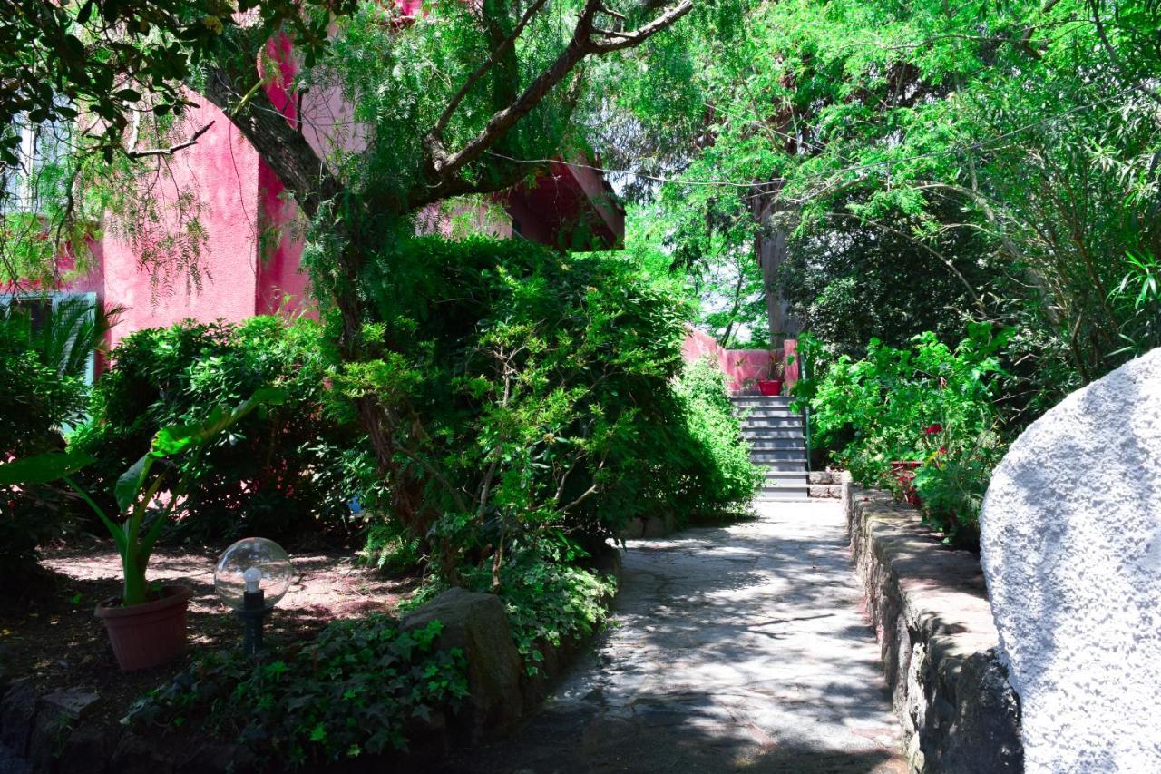 Il Giardino Selvatico Di Succellario - Apartments 巴拉诺迪斯基亚 外观 照片