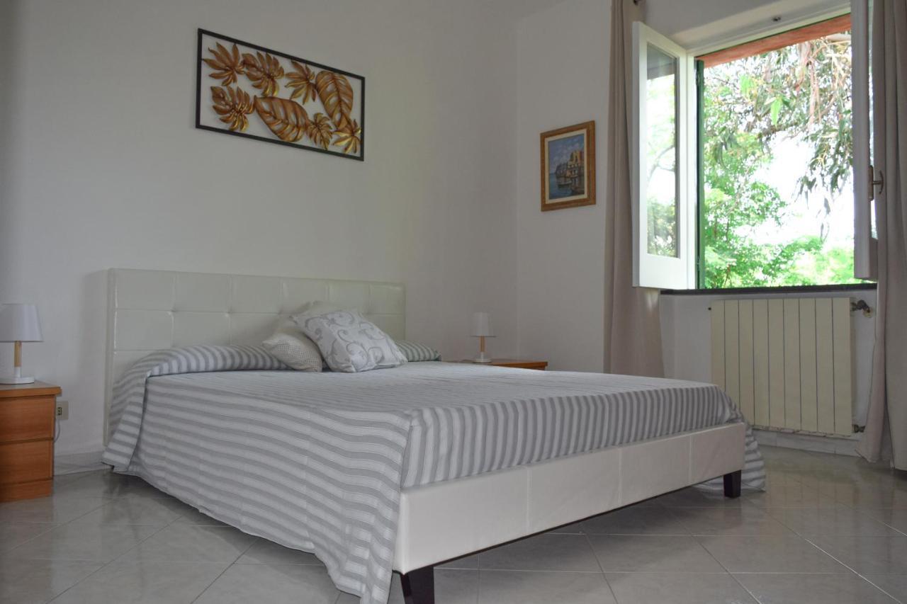 Il Giardino Selvatico Di Succellario - Apartments 巴拉诺迪斯基亚 外观 照片