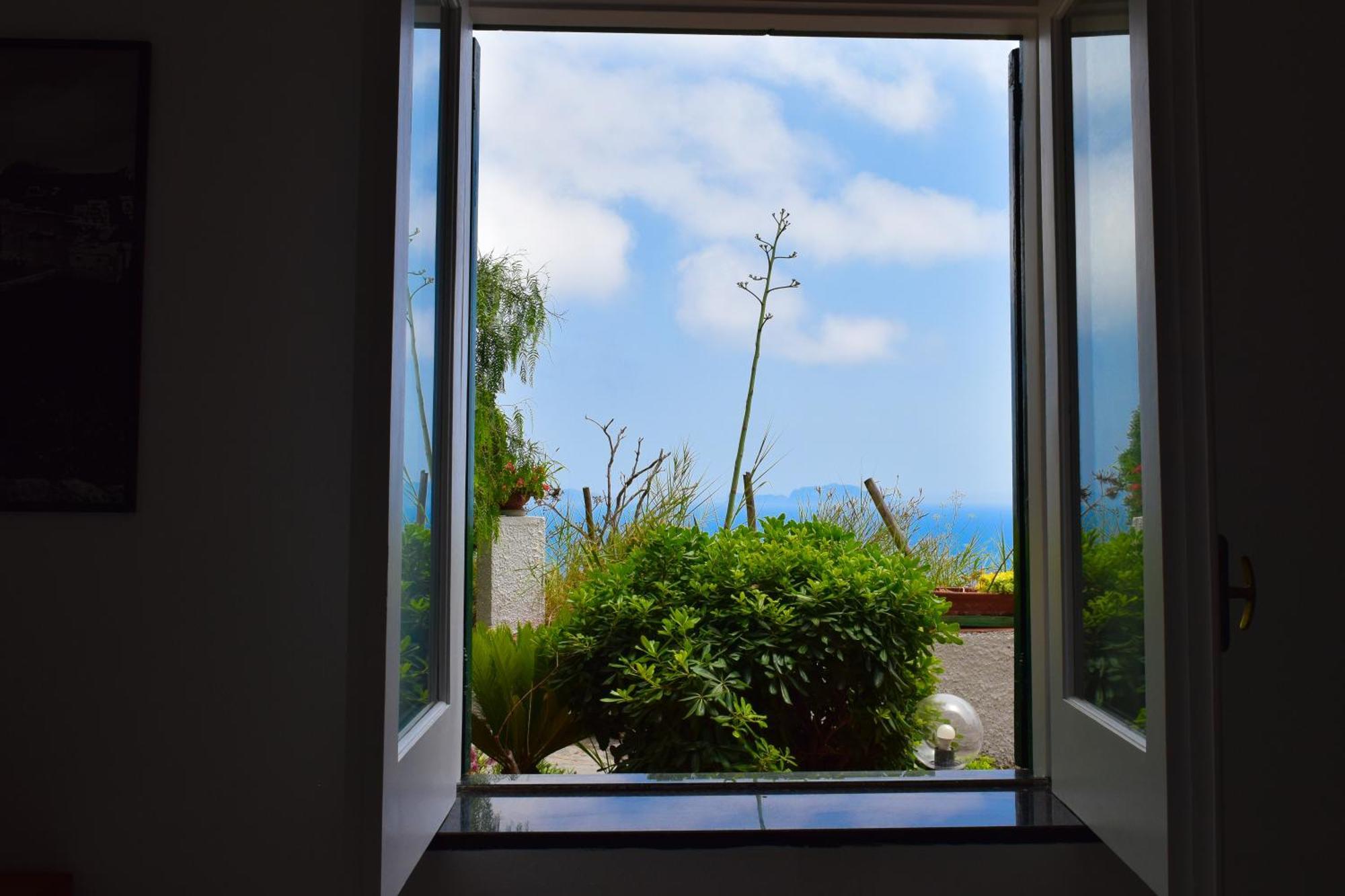 Il Giardino Selvatico Di Succellario - Apartments 巴拉诺迪斯基亚 外观 照片